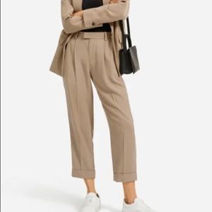 Everlane Put Together Pleat Pant in clay